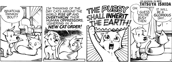 New Cat Order