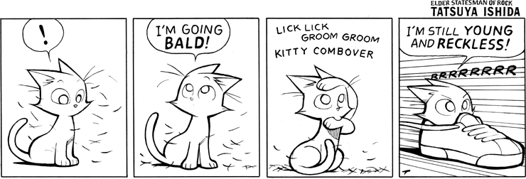 Shedding