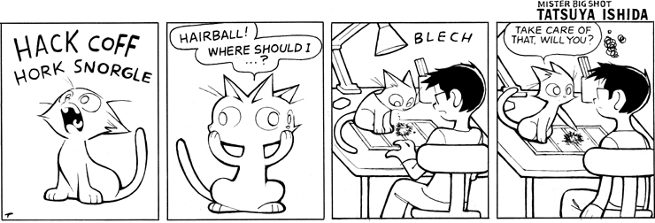 Hairball