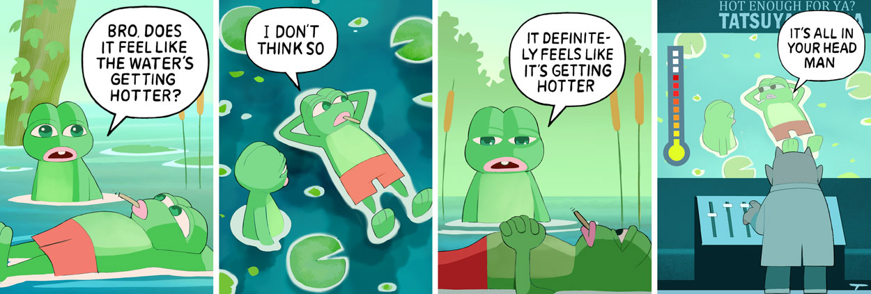 Boiling The Frog